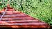 SUMMER HOUSES - Cedar slatted roof